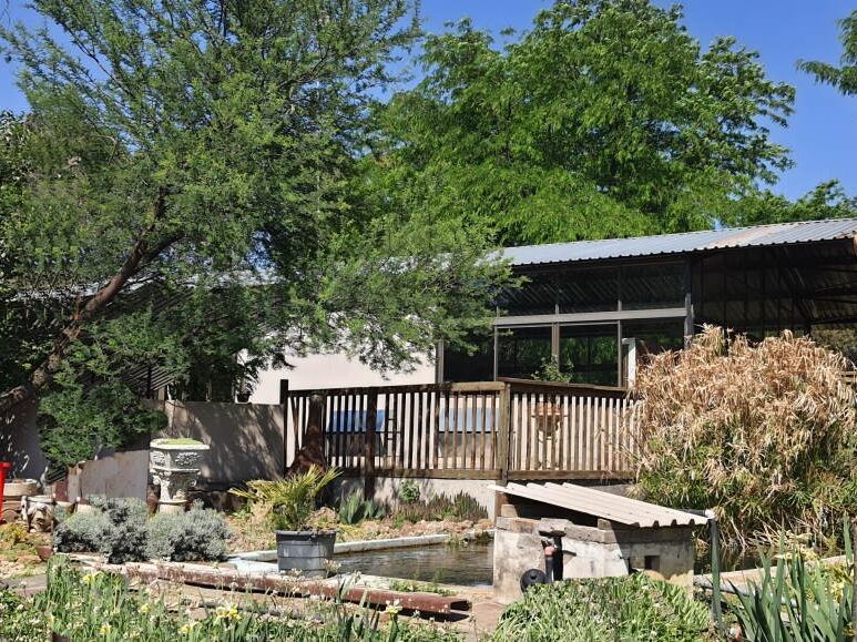 Picture of Oppi Koppi Guest House