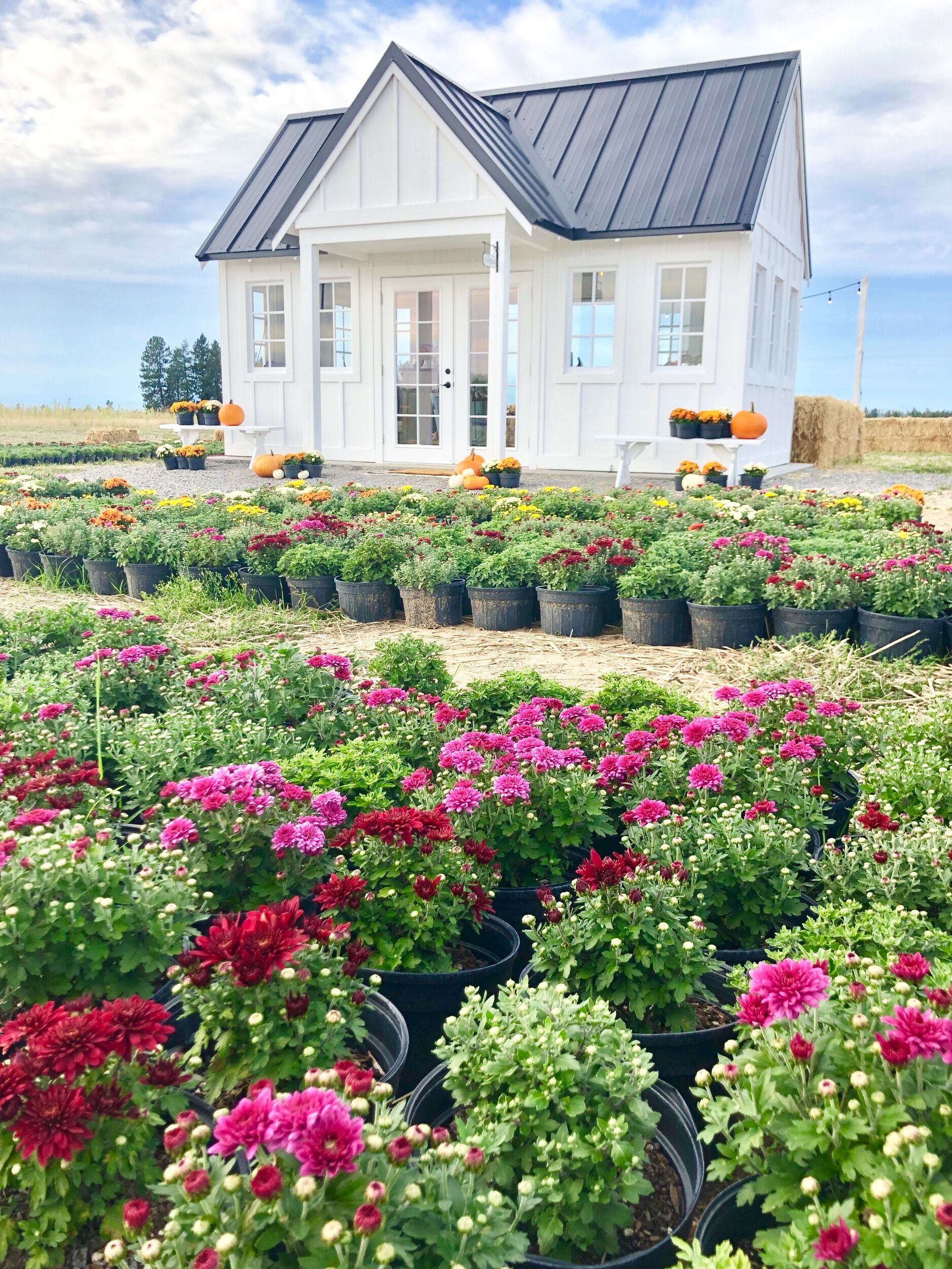 Picture of Greenbluff Growers