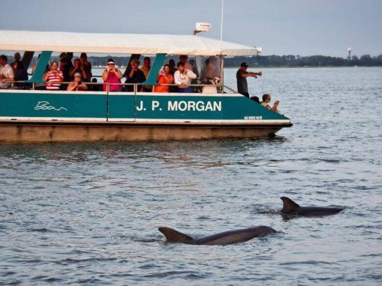 Picture of Jekyll Island Boat Tours LLC