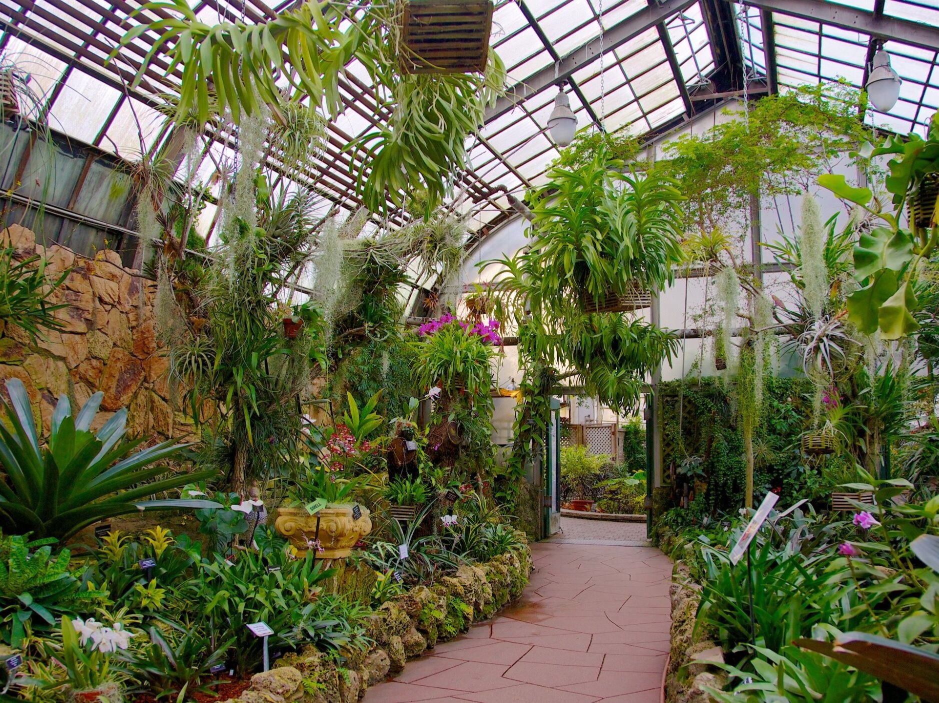 Picture of Lincoln Park Conservatory