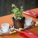 Rustic Rock, Candle and Succulent Centerpieces
