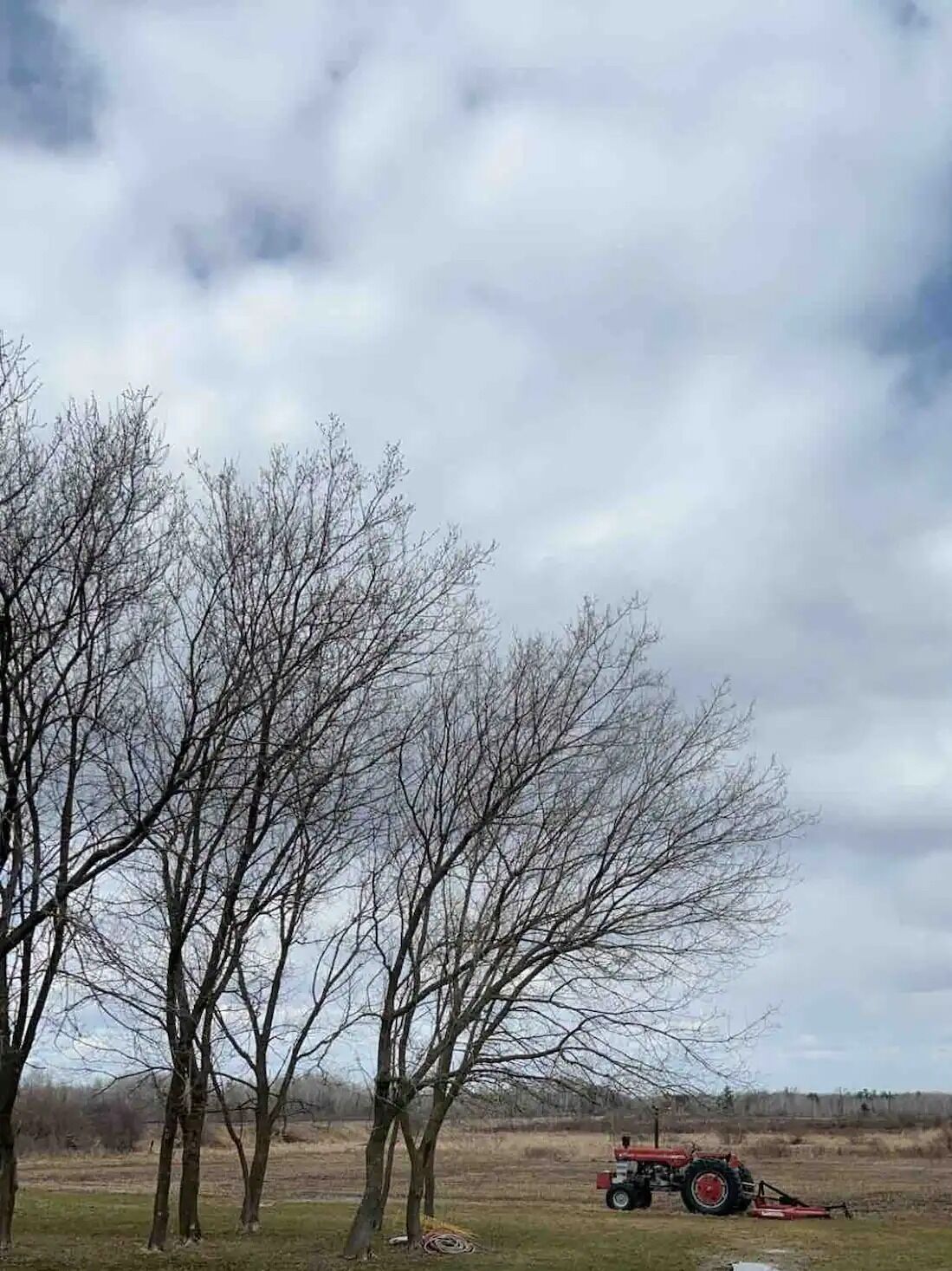 Picture of Simple Tiny Home on Land