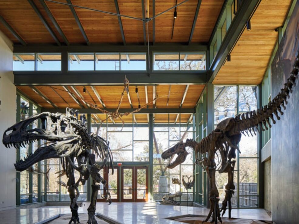Picture of Witte Museum
