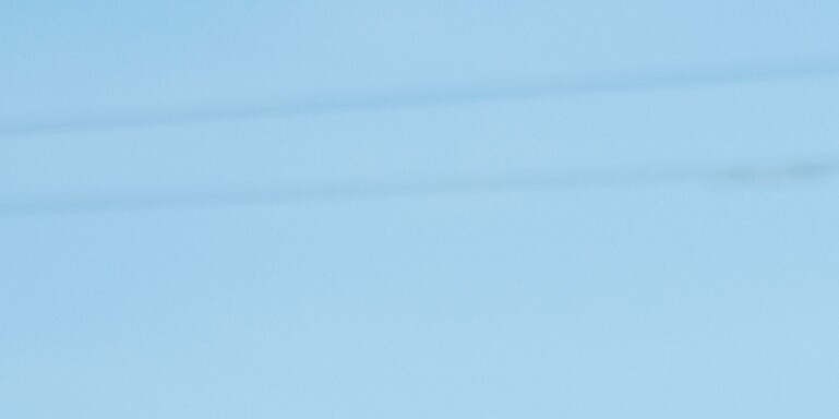D & B Home Page Banner