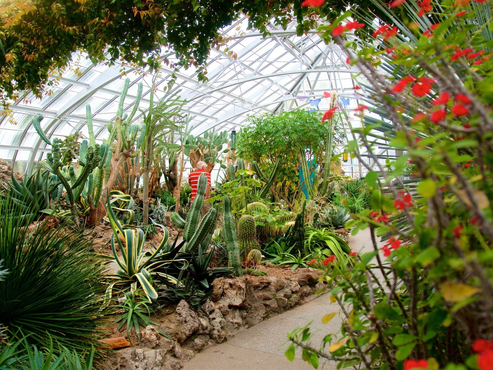 Picture of Krohn Conservatory