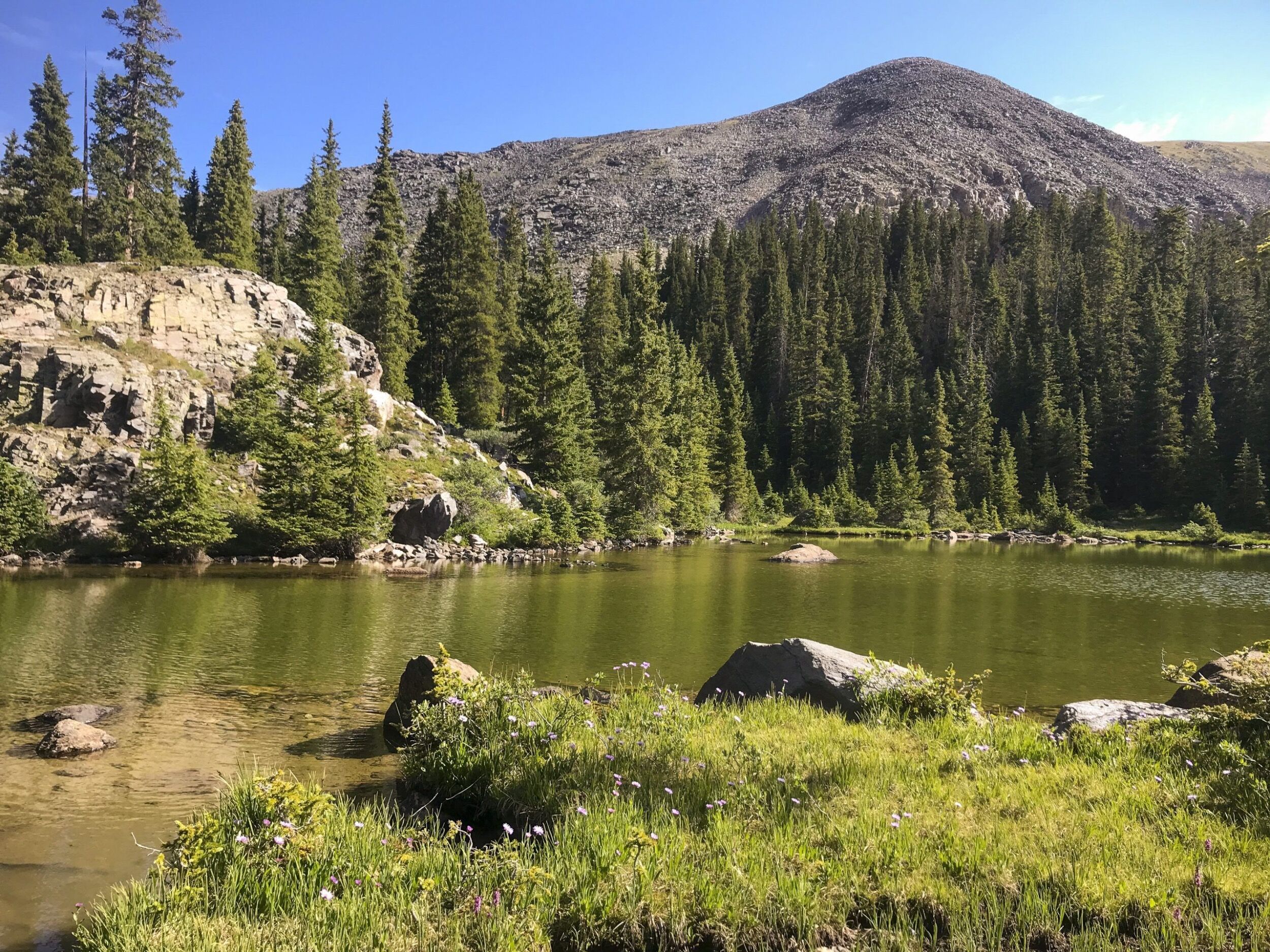 Picture of Gunnison National Forest