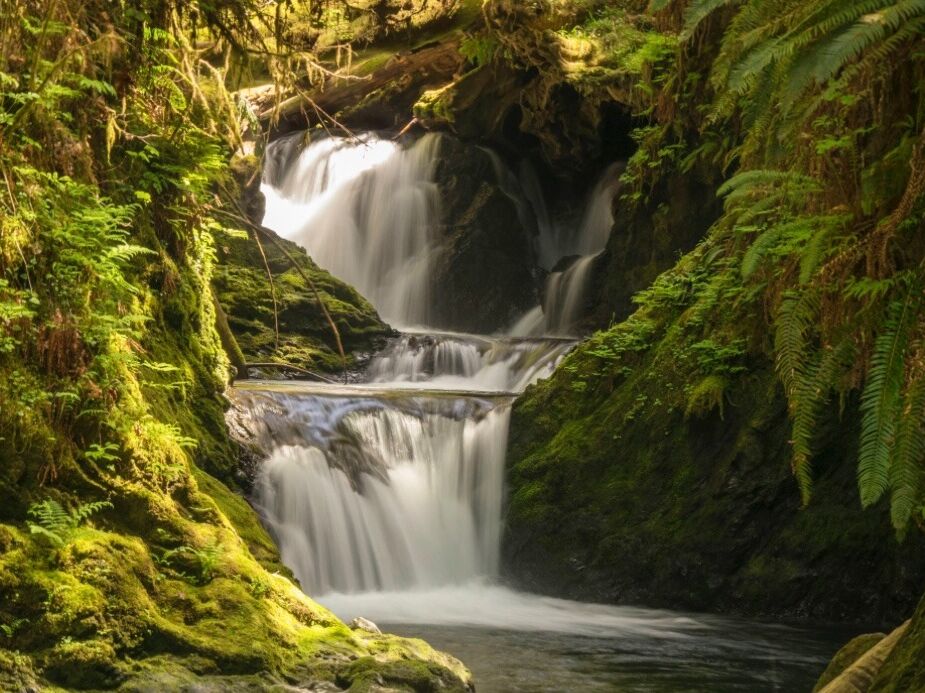 Picture of Willaby Creek Falls