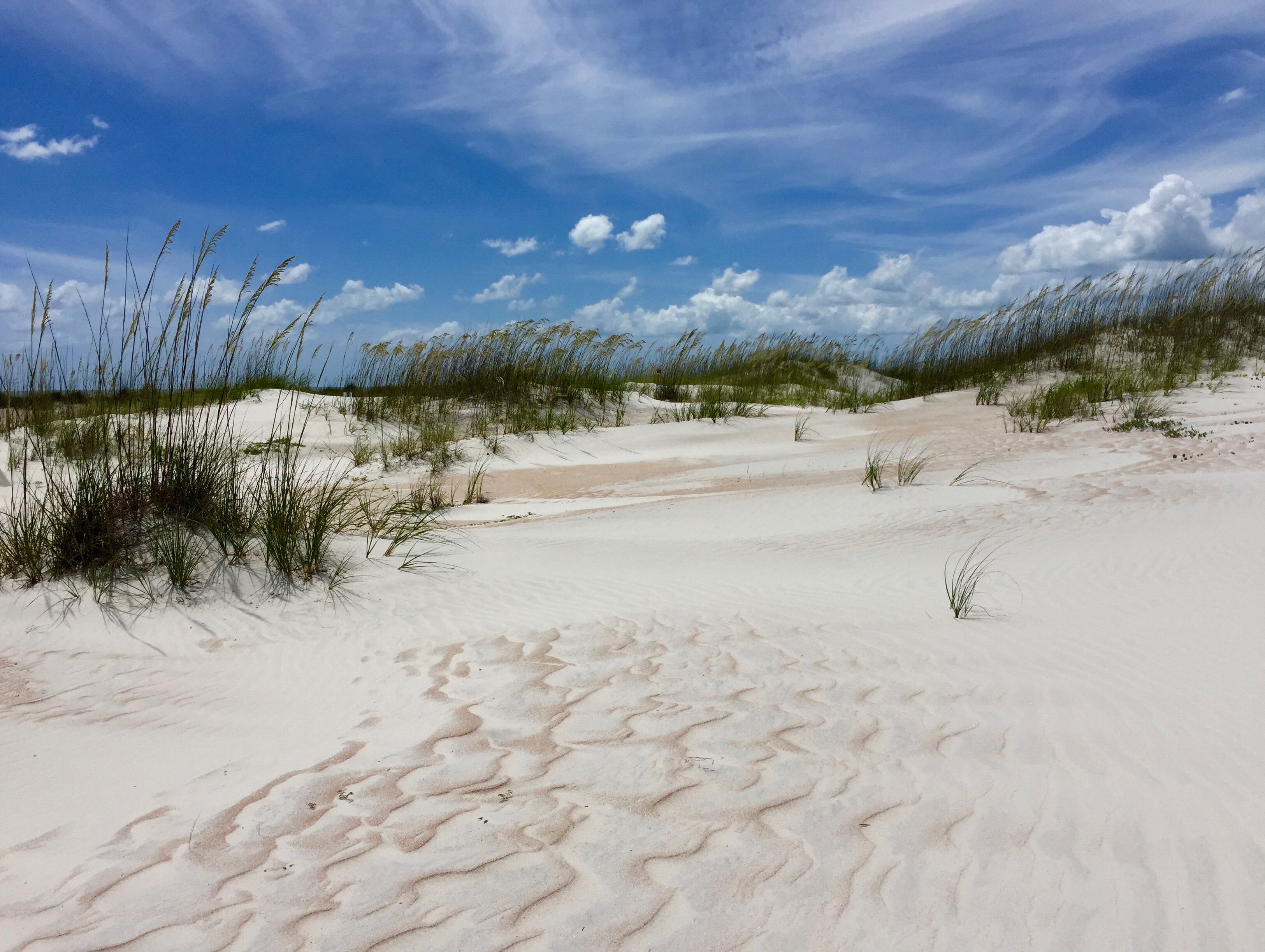 Picture of Anastasia State Park 