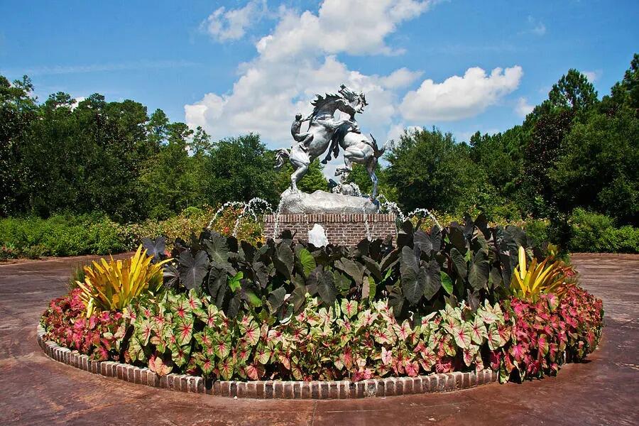 Picture of Brookgreen Gardens