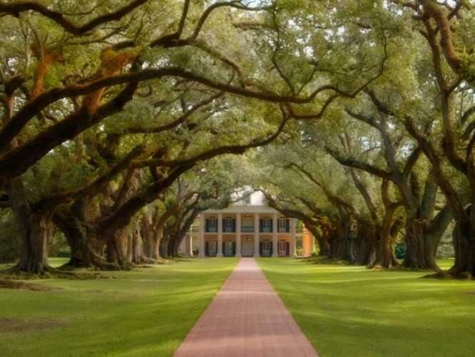 Picture of Oak Alley Plantation