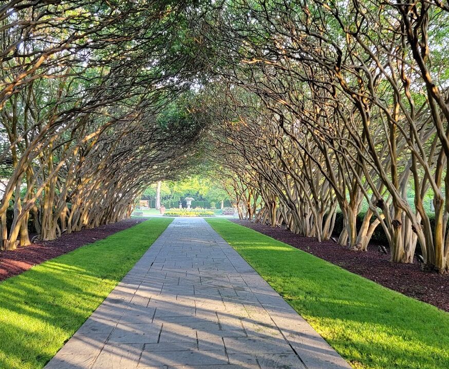 Picture of The Dallas Arboretum and Botanical Garden