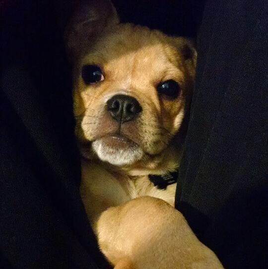 Baine
