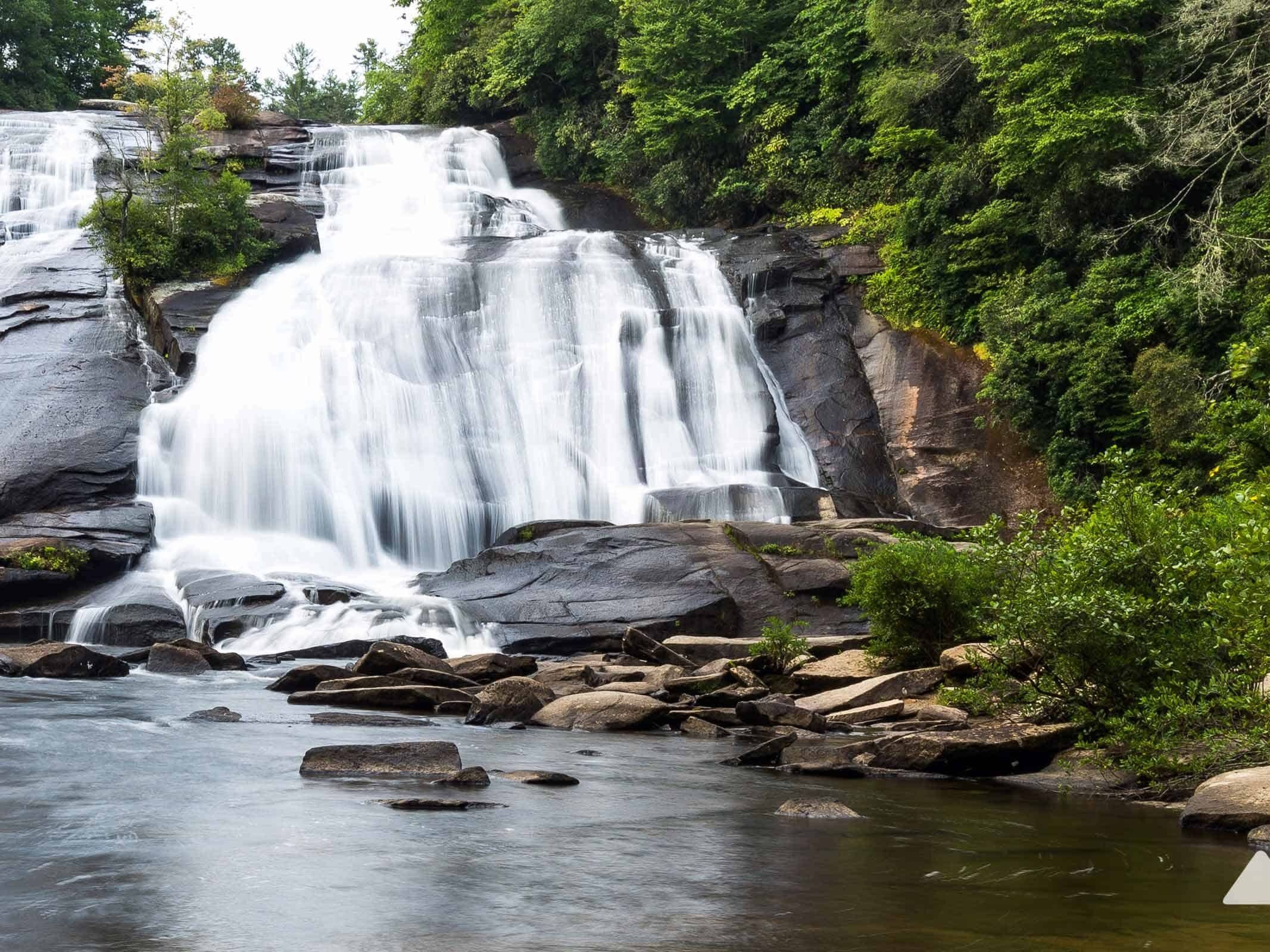 Picture of DuPont State Recreational Forest