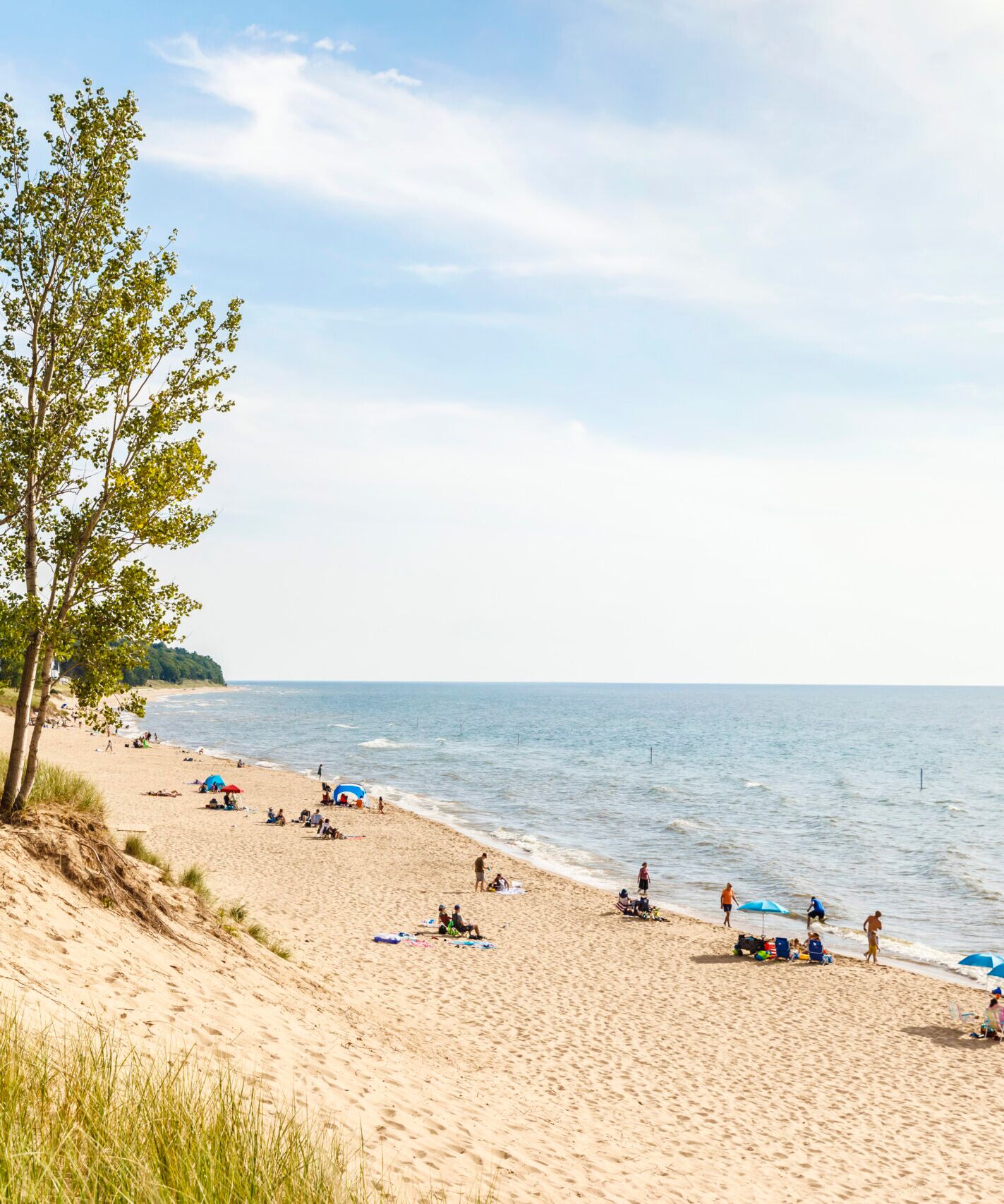Picture of Oval Beach in Saugatuck