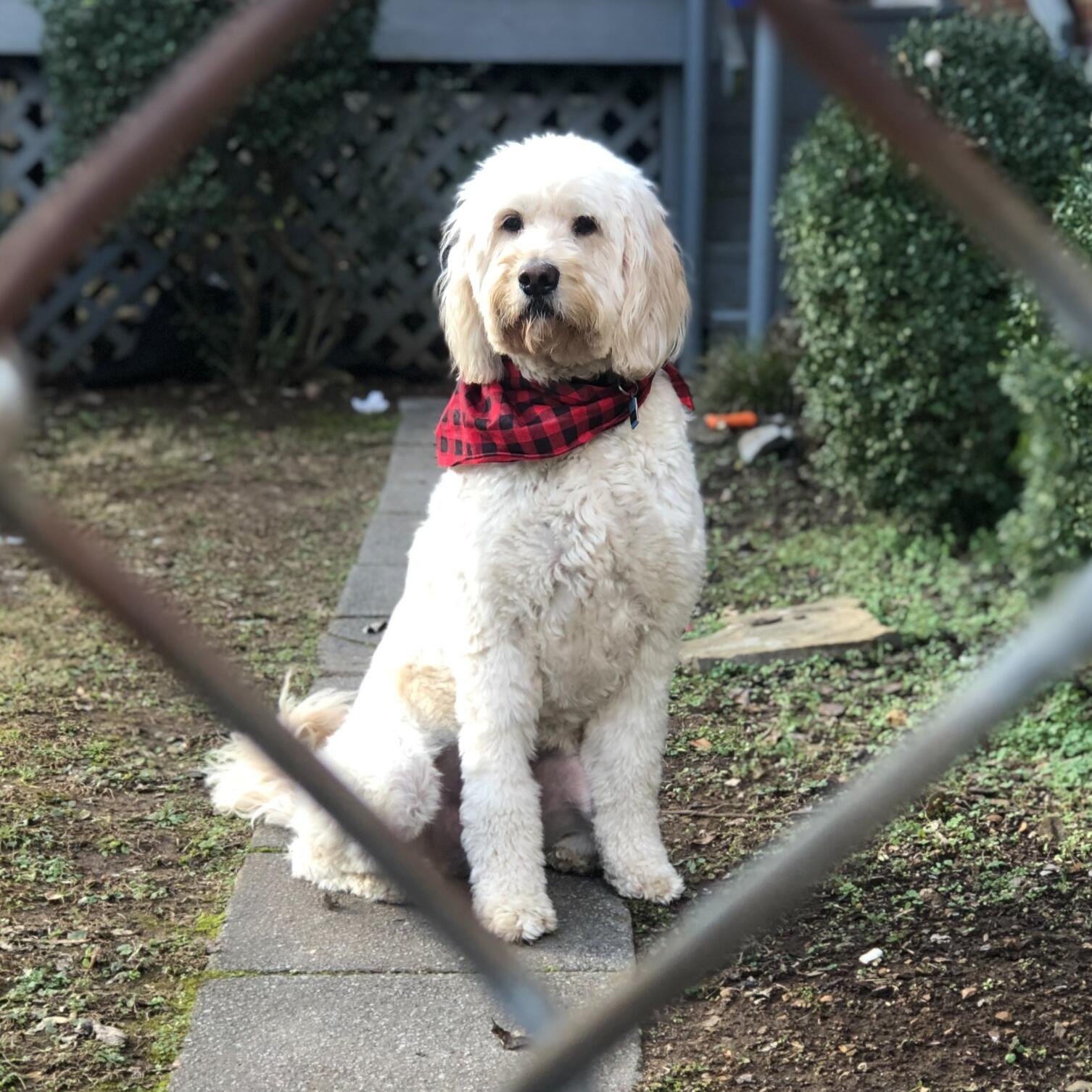 BENNY