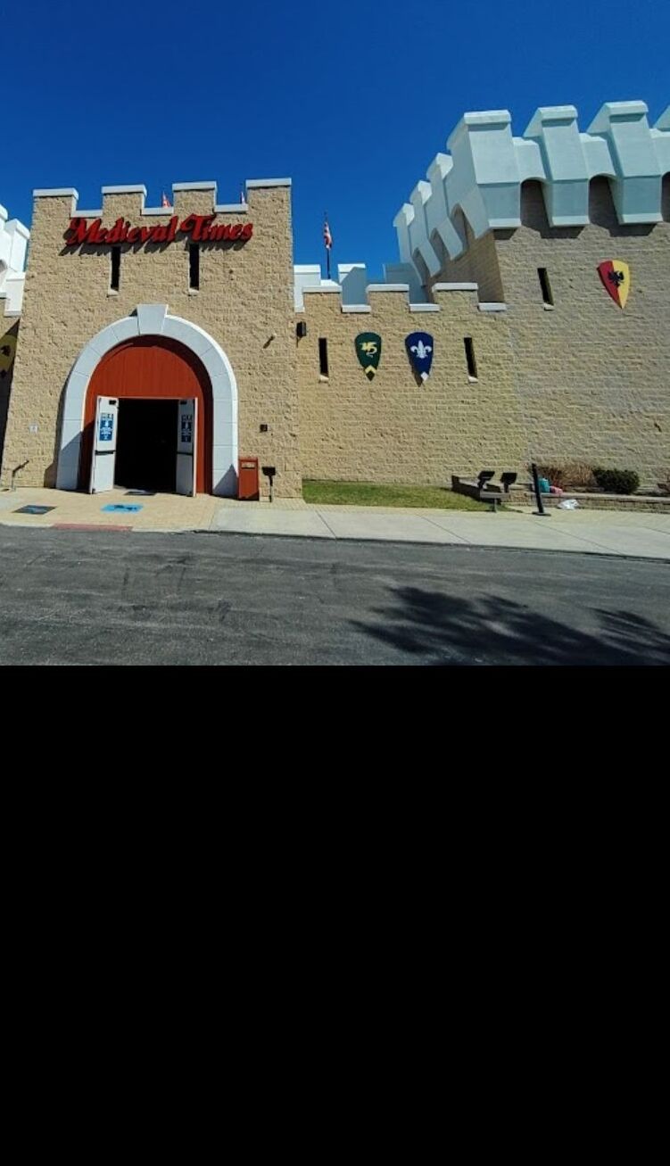 Picture of Medieval Times