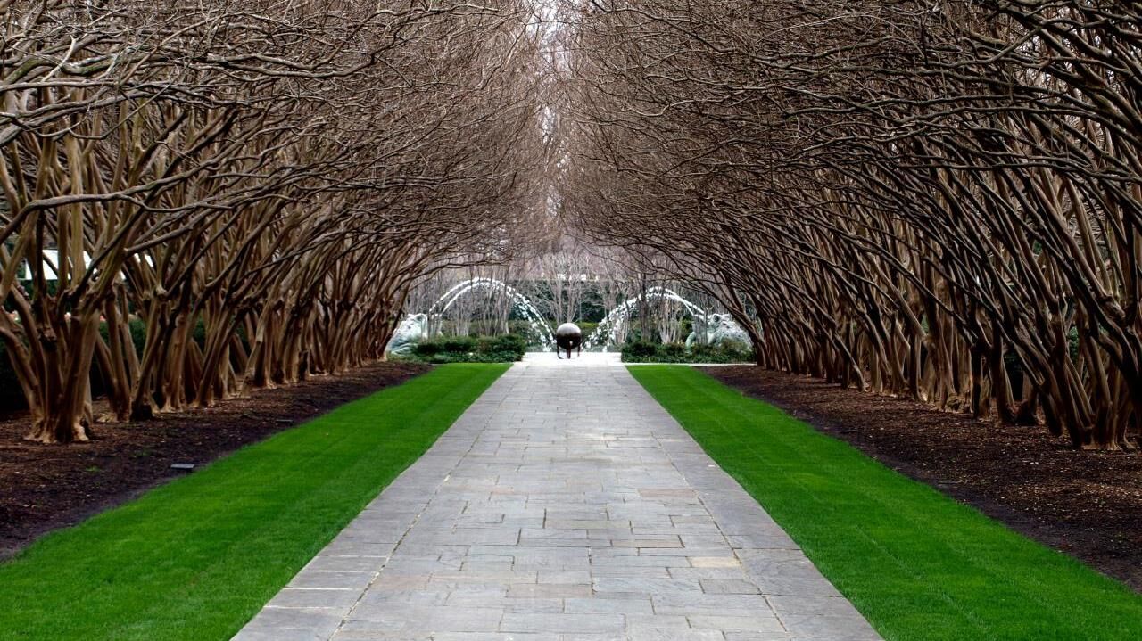 Picture of Dallas Arboretum and Botanical Garden