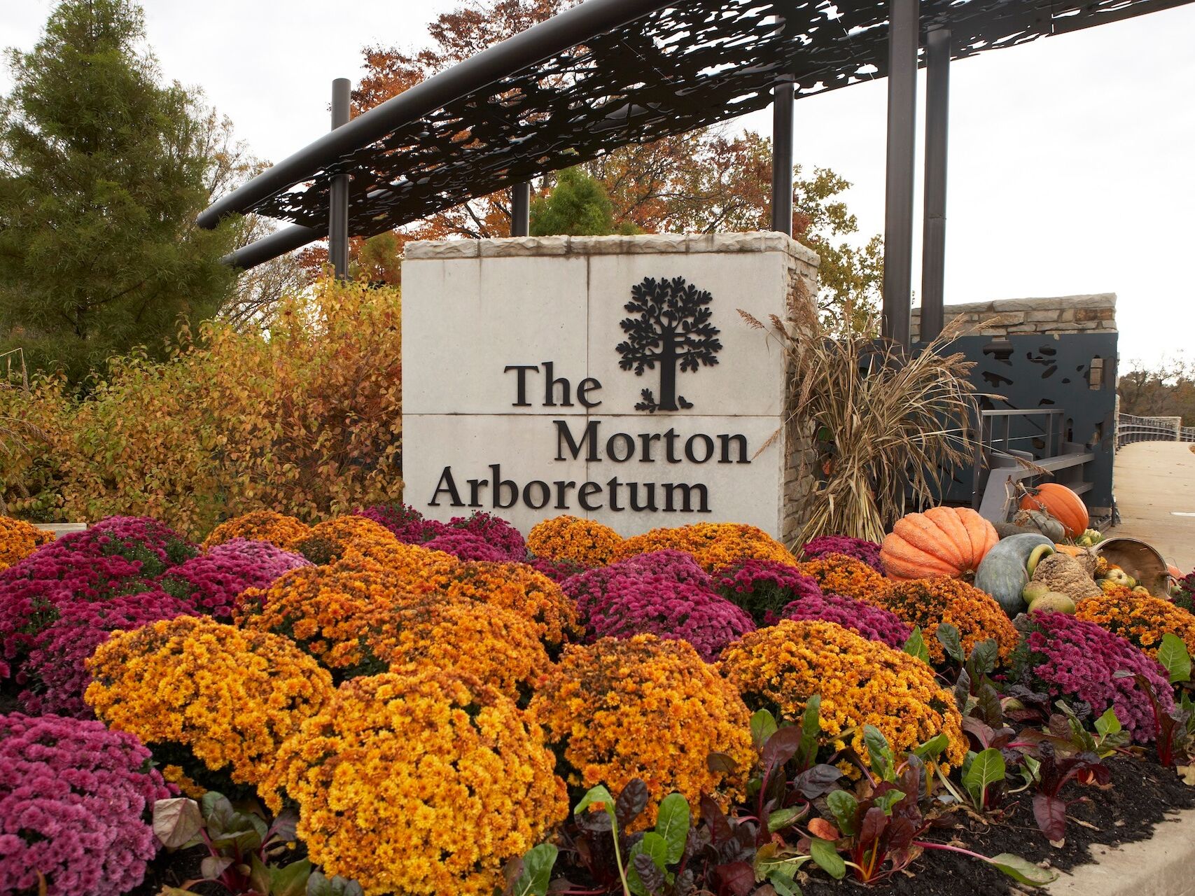 Picture of The Morton Arboretum