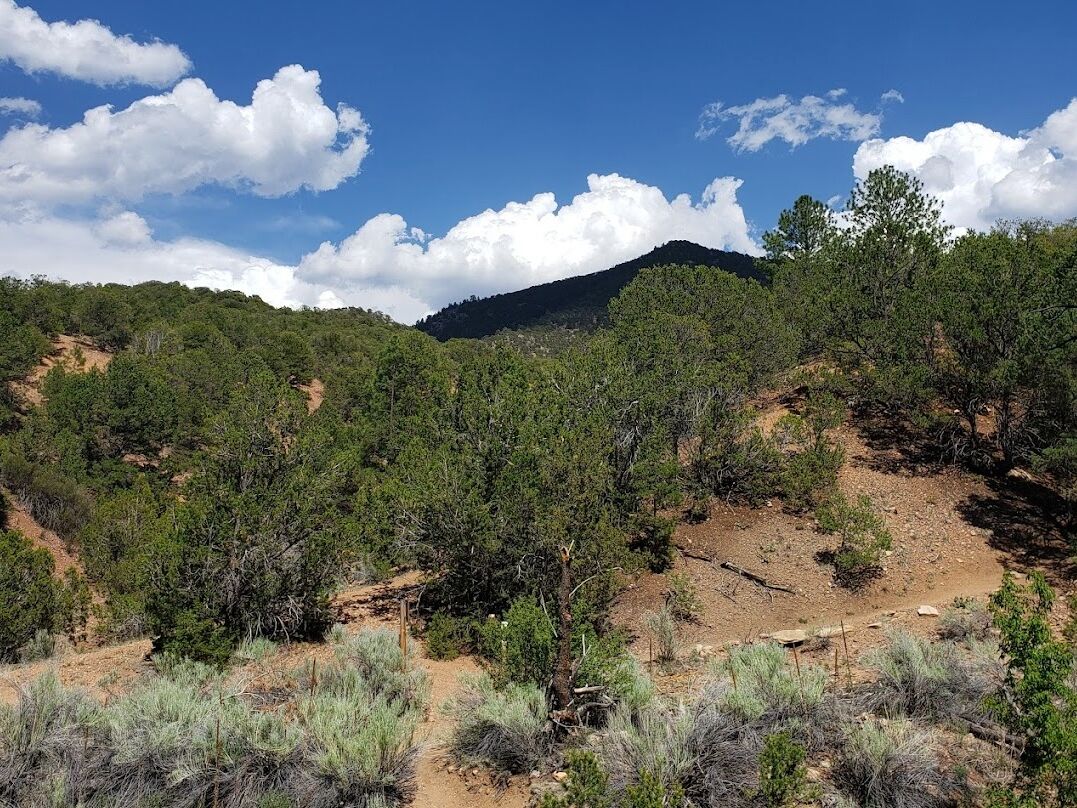 Picture of Dorothy Stewart Trail (Easy)