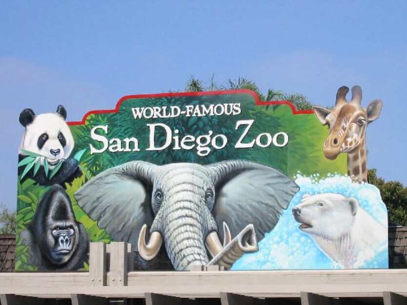 Picture of San Diego Zoo