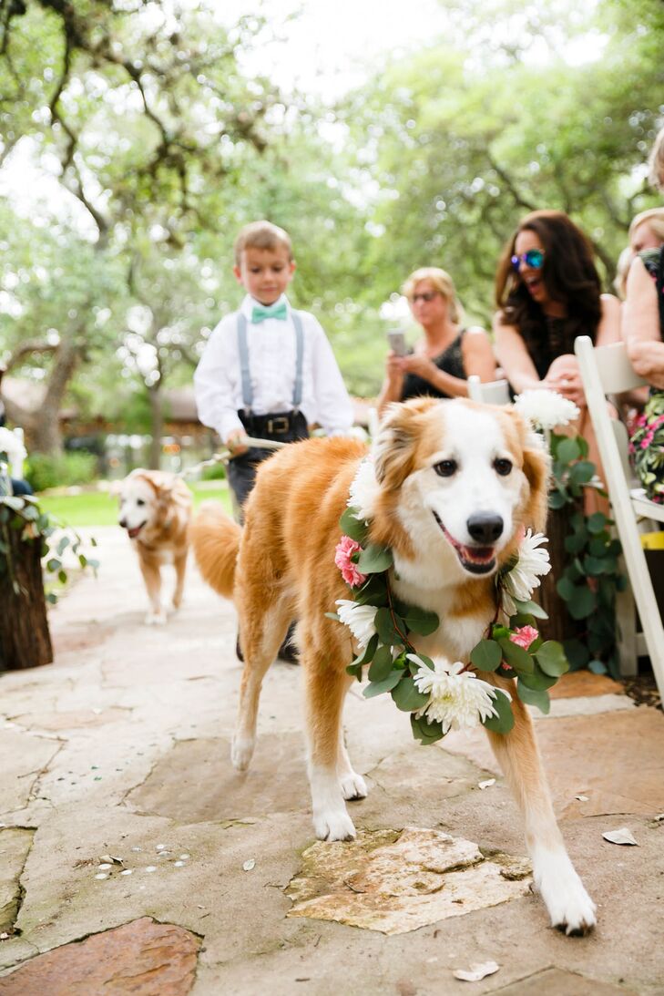 Marcus and Mindy included their dogs, Stubbs and Riley, in their ceremony by having them walk down the aisle with their flower girl. Stubbs was decked out in a bow tie made by Mindy’s matron of honor; Riley sported a floral wreath, made by Mindy, with fresh greenery, spider mums and bright pink carnations.