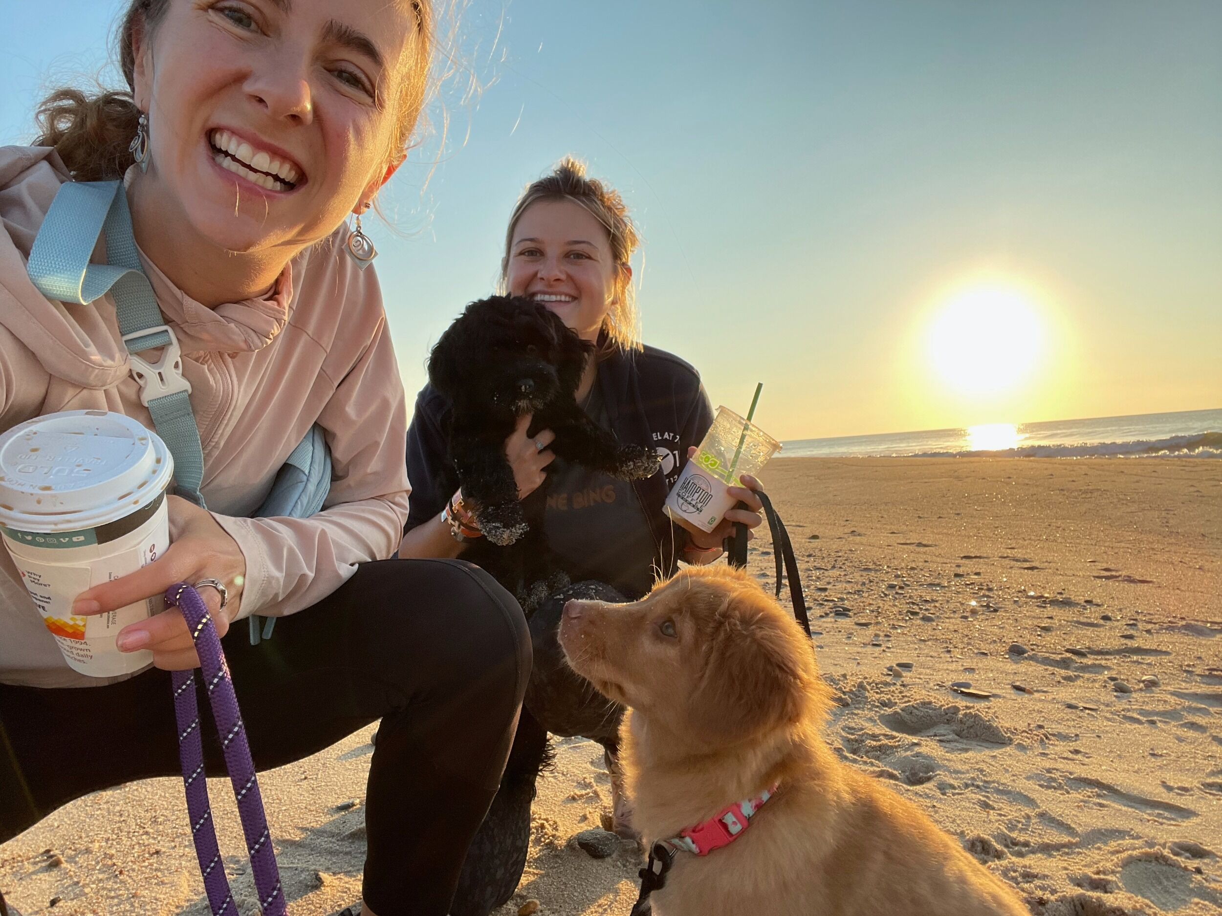 Picture of Beach walks with pals 