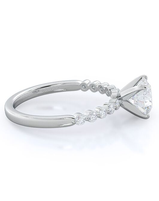 With Clarity Elegant Princess, Asscher, Emerald, Marquise, Radiant, Round, Oval Cut Engagement Ring - 2