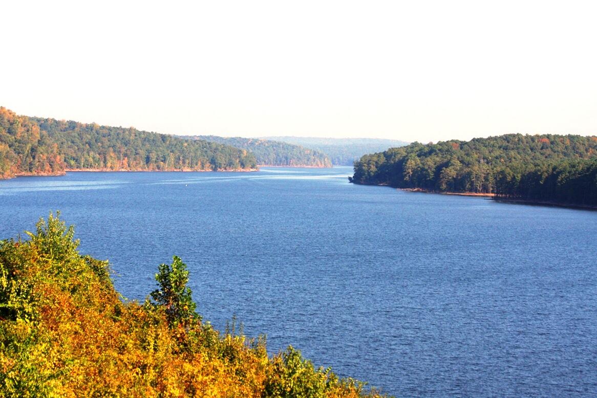 Picture of Jordan Lake