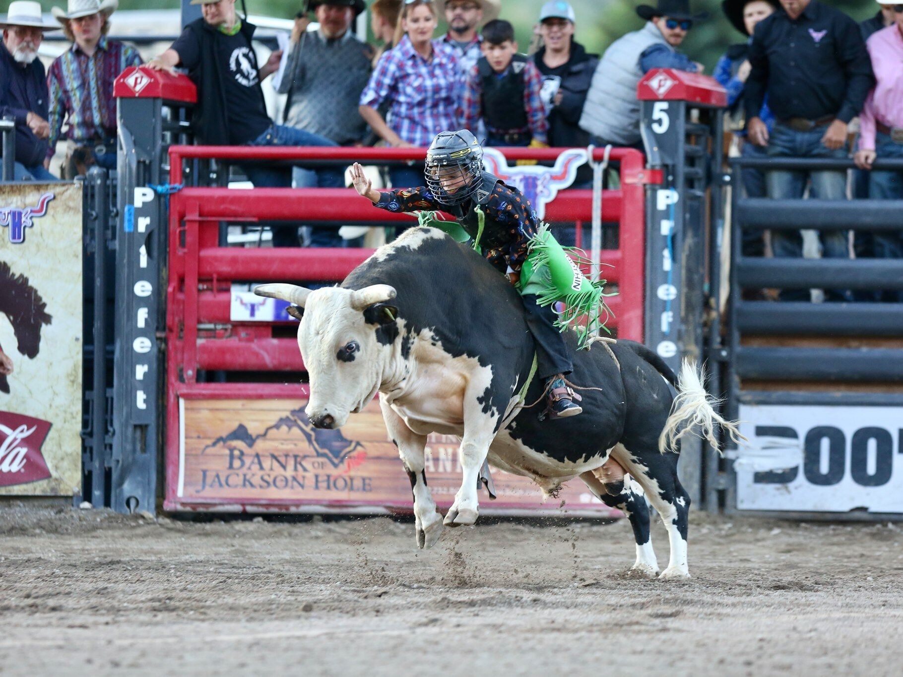 Picture of Jackson Hole Rodeo