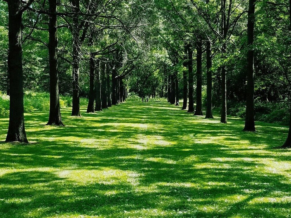 Picture of Saint James Farm