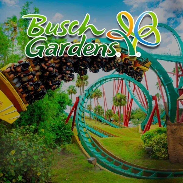Picture of Busch Gardens Tampa Bay