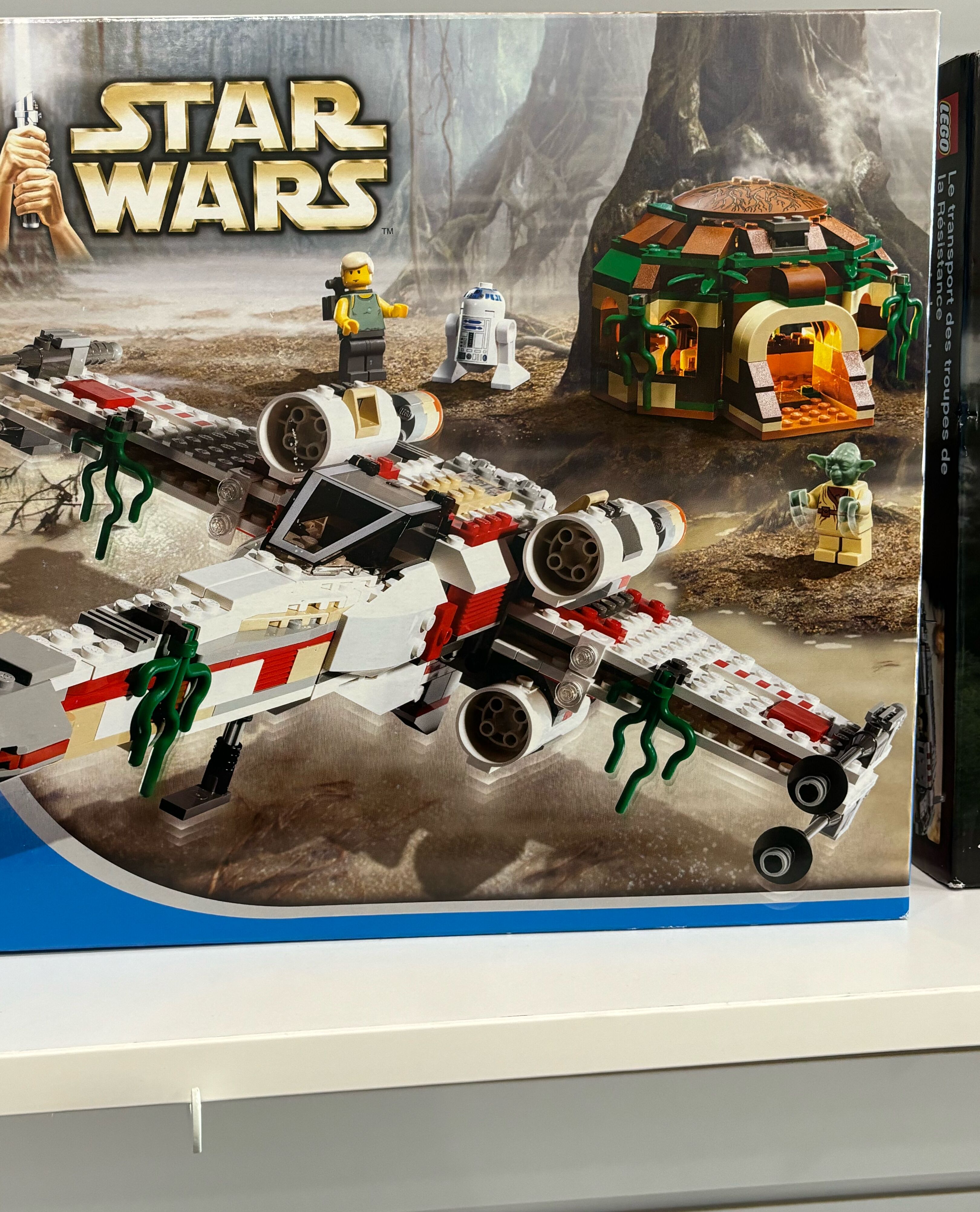 Picture of Bricks and Minifigs