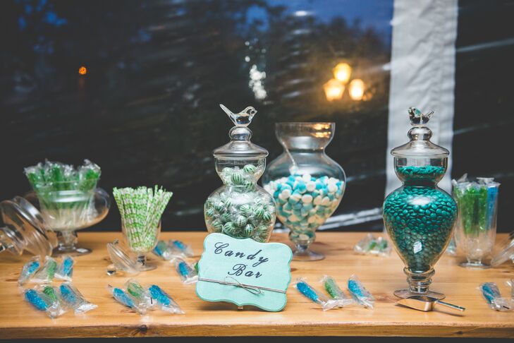 Nicole and Dan had a candy bar with only blue and white candies at their reception.
