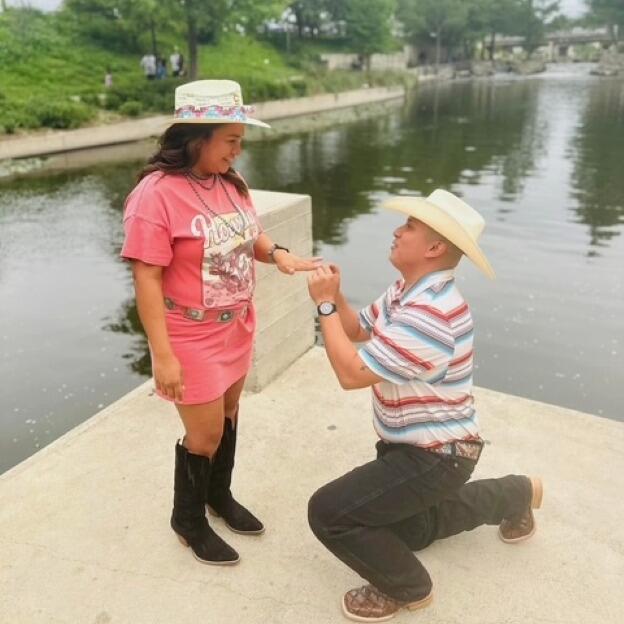 Picture of The Proposal