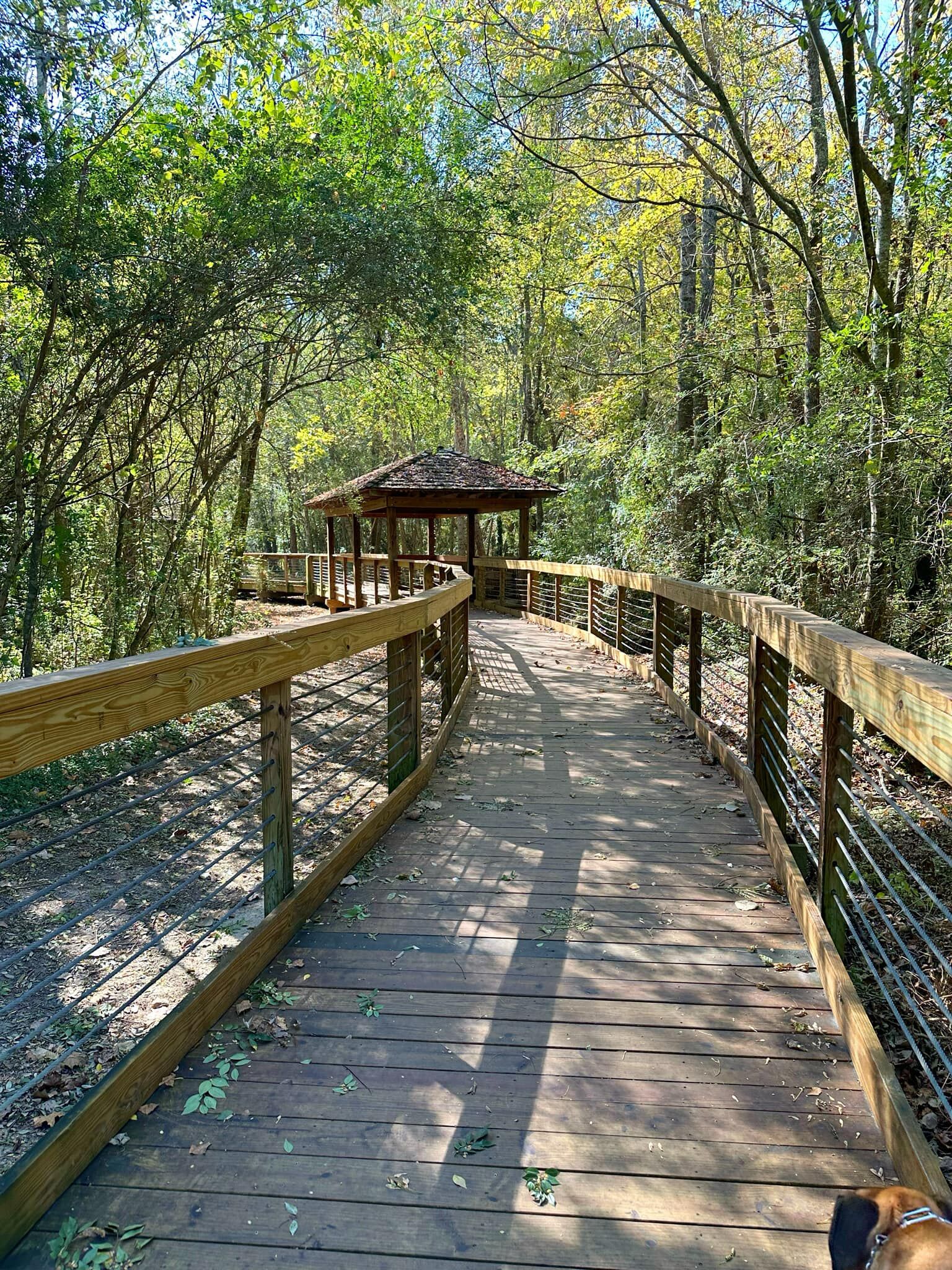 Picture of Town Creek Park