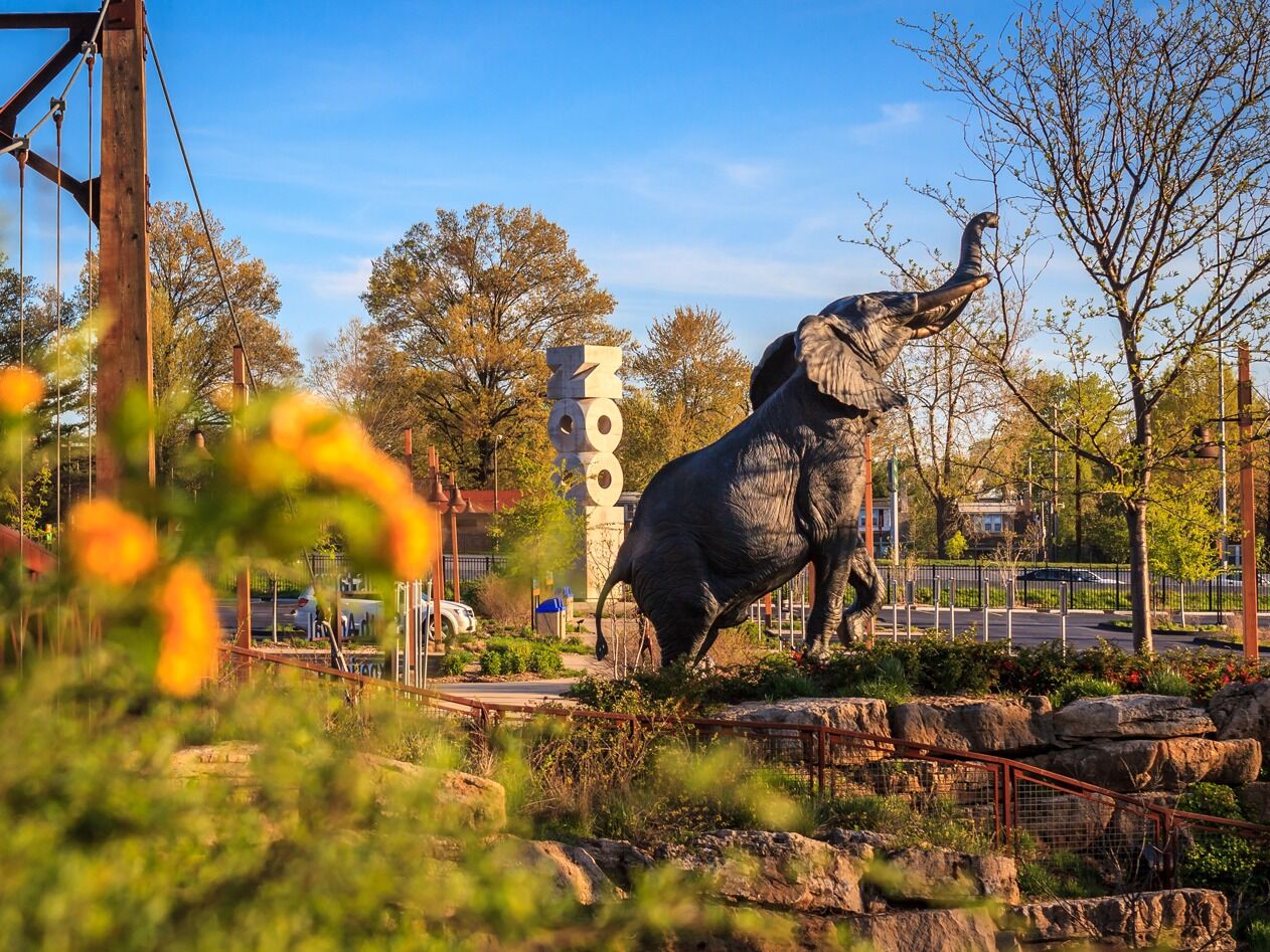 Picture of STL Zoo
