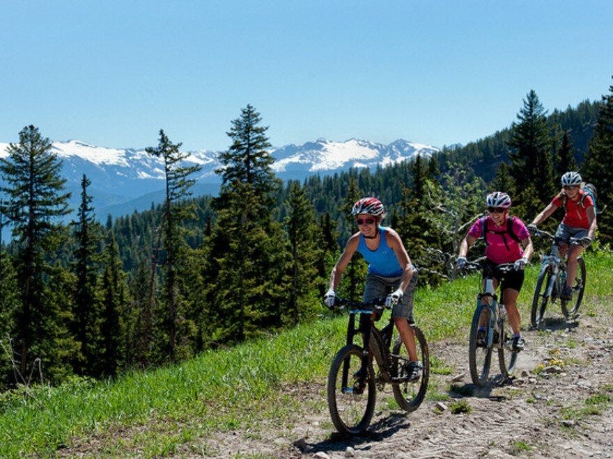Picture of Mountain Biking 