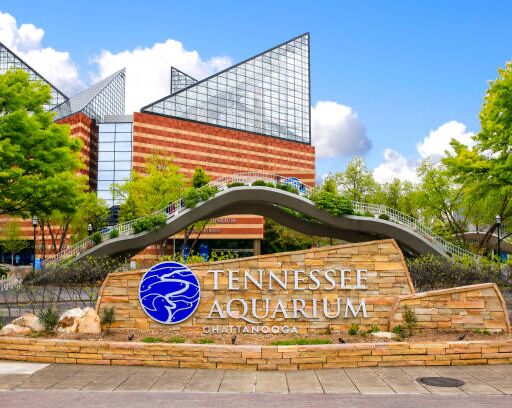 Picture of Tennessee Aquarium