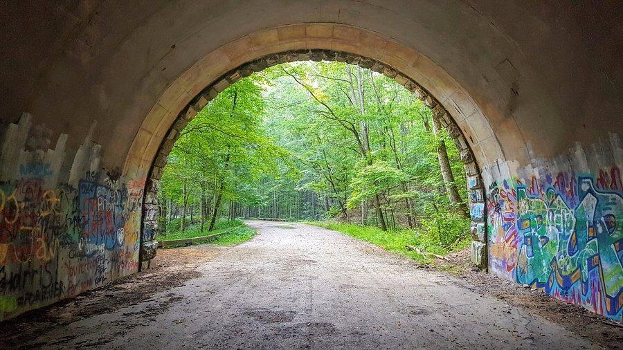 Picture of Road to Nowhere Tunnel