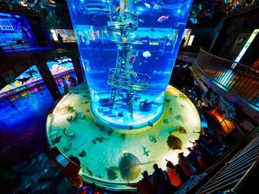 Picture of Wonders Of Wildlife National Museum & Aquarium