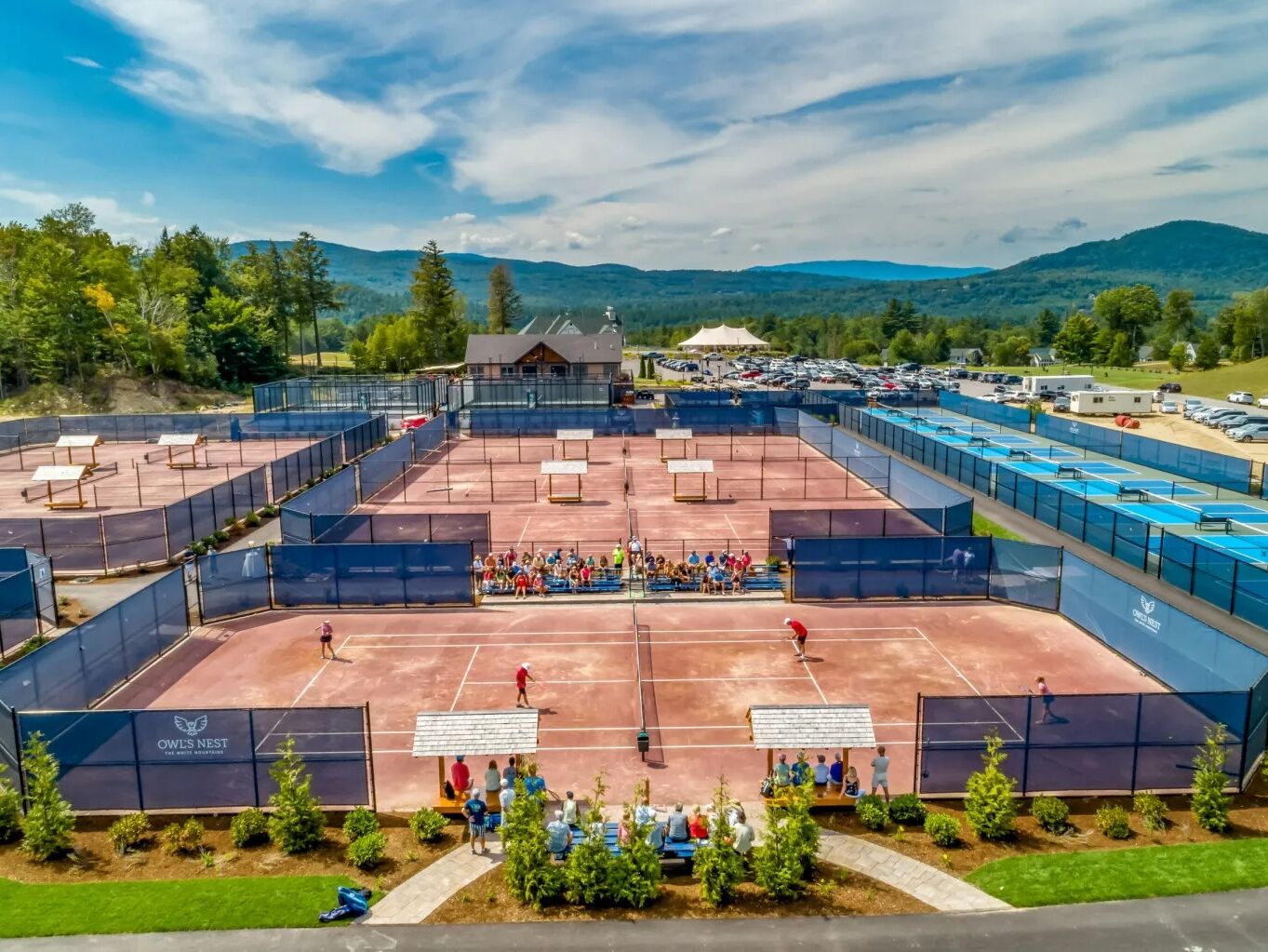 Picture of PICKLEBALL