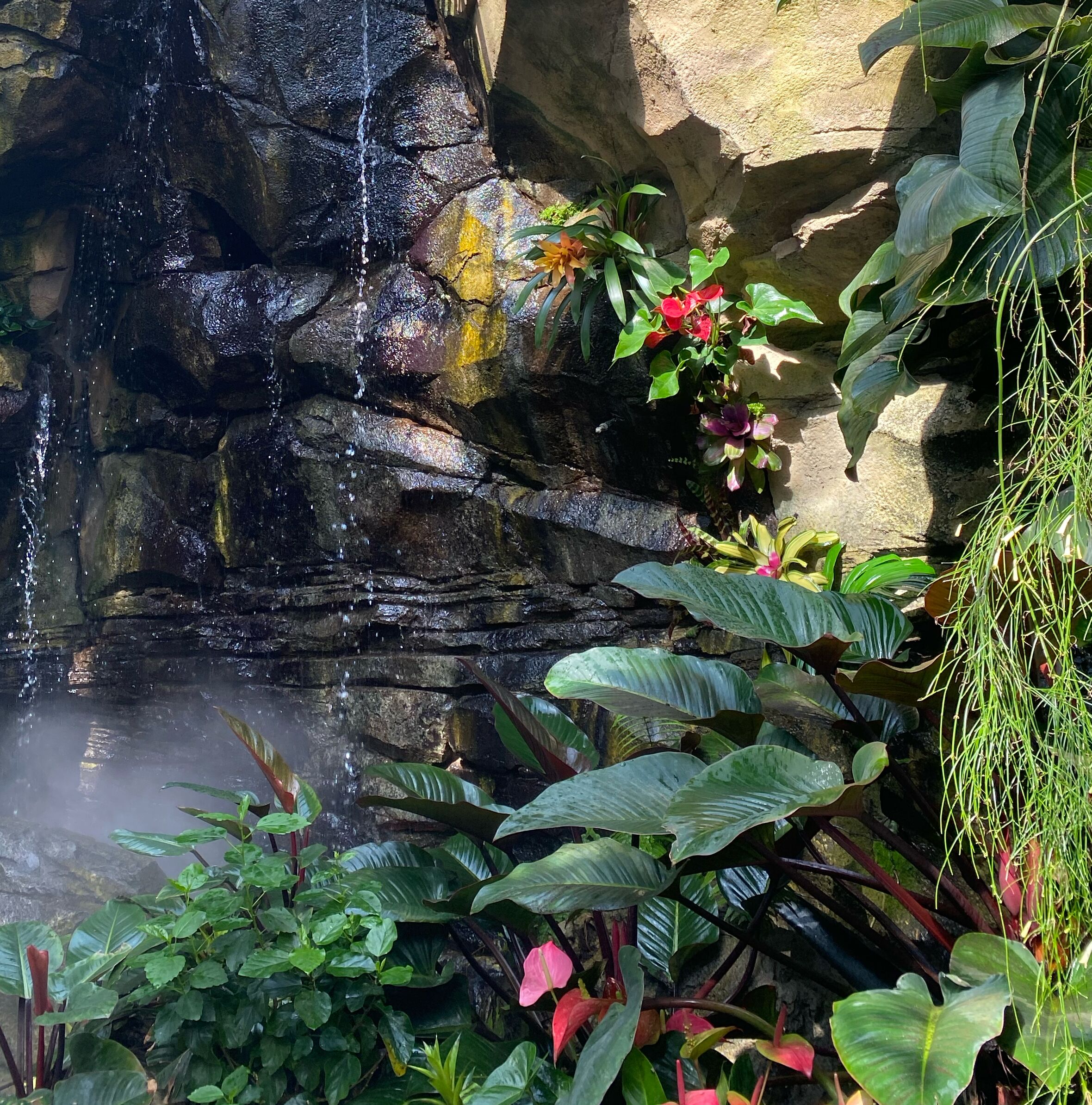 Picture of Pittsburgh Botanic Garden