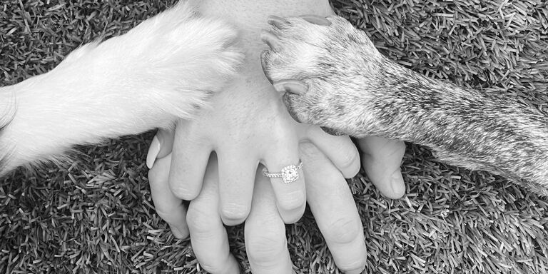 Ben & Adriana Home Page Banner