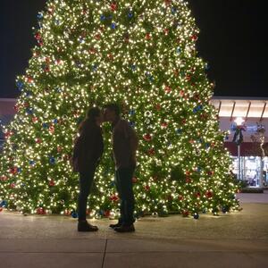 Gallery Photo 14