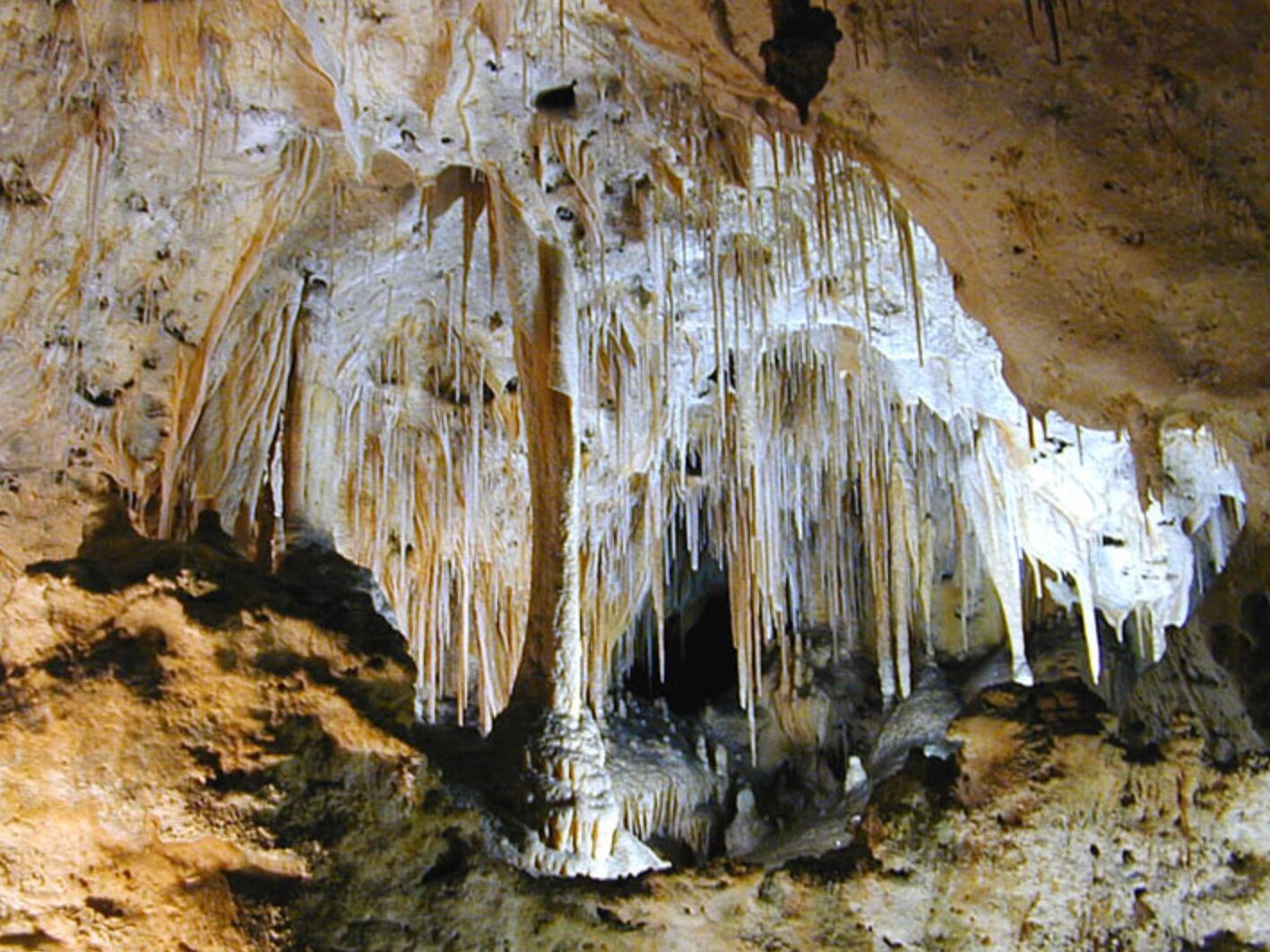 Picture of Carlsbad Caverns National Park