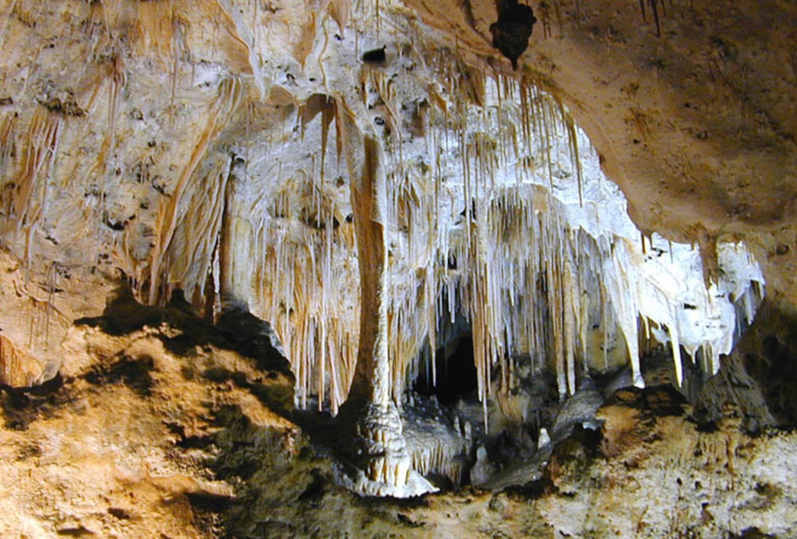 Picture of Carlsbad Caverns National Park