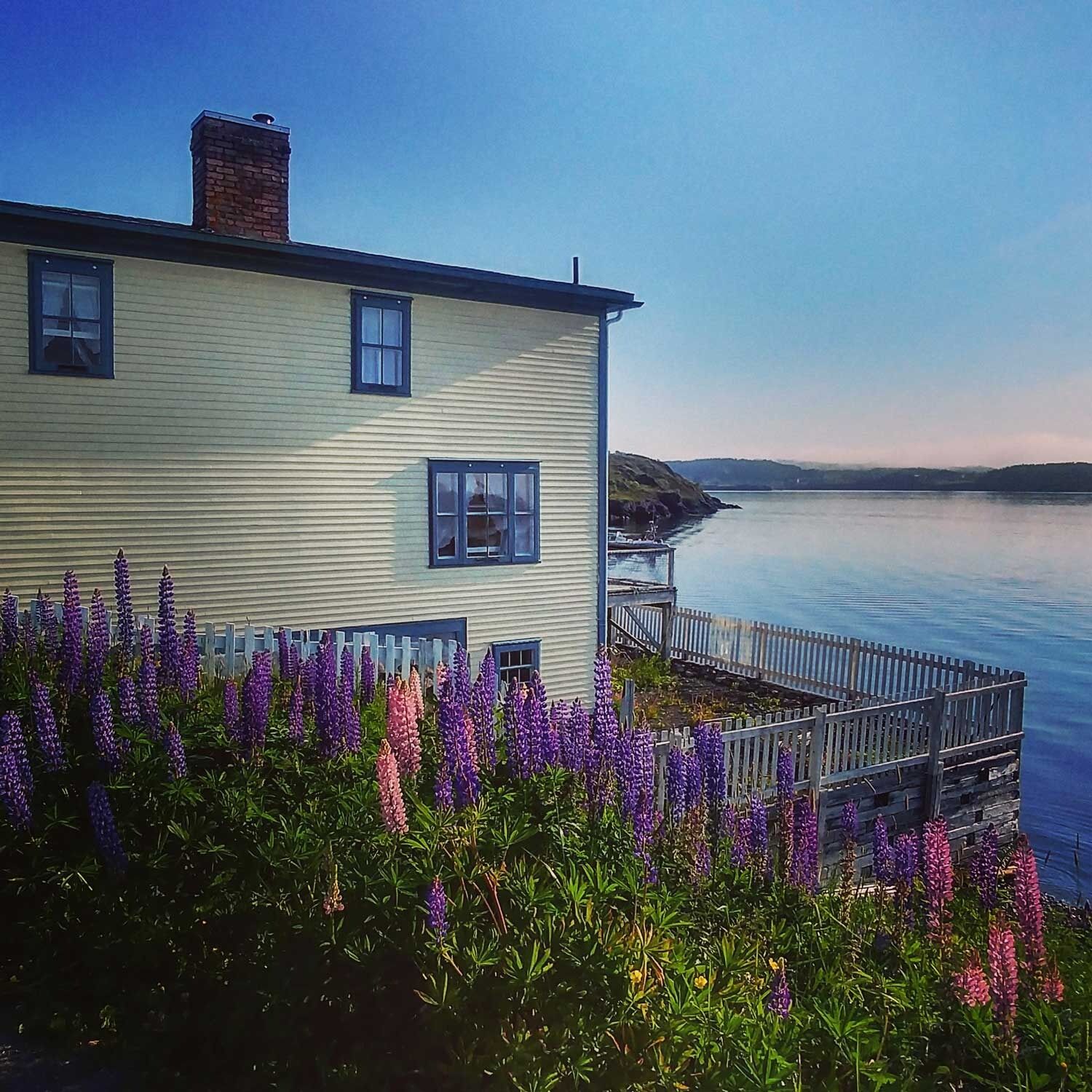 Picture of Admiral’s Lookout