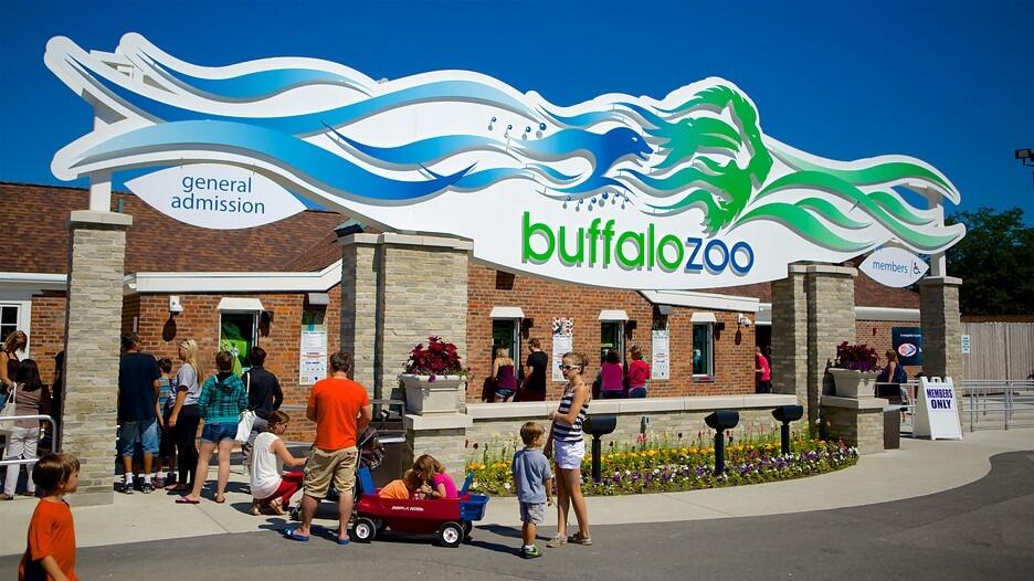 Picture of The Buffalo Zoo