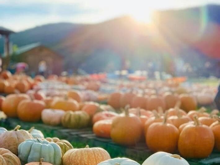 Picture of Layman Family Farms