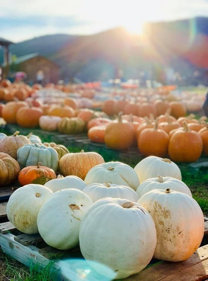 Picture of Layman Family Farms